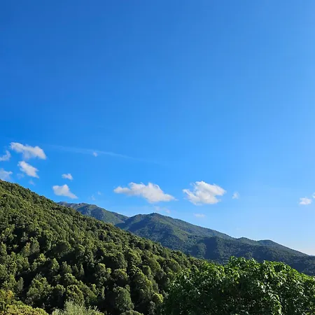 Ferme U Cantu D'adelio * Olivese