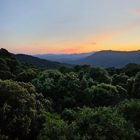 Homestay Ferme U Cantu D'adelio Olivese