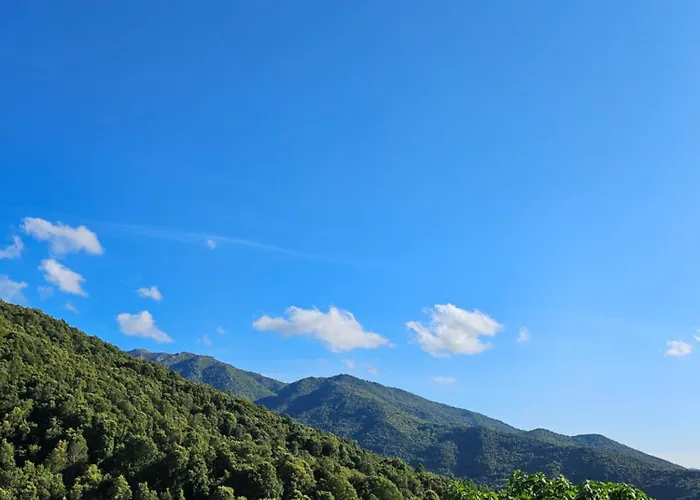 Ferme U Cantu D'adelio * Olivese