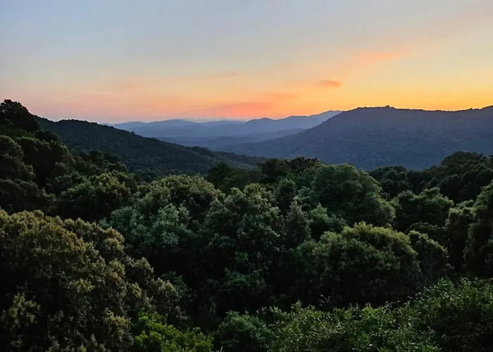 Accommodatie bij particulieren Ferme U Cantu D'adelio Olivese